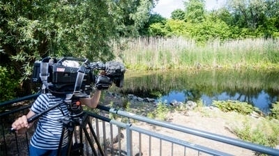 Why Documentaries Are Becoming Mainstream