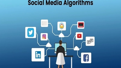 Your Feed, Your Stage: Personalizing Entertainment Through Social Algorithms